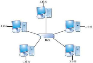 西城高級中學網絡技術應用模塊期末試題解析 計算機軟硬件技術開發