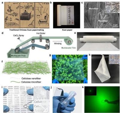 中國科學(xué)技術(shù)大學(xué)引領(lǐng)創(chuàng)新 新型柔性顯示膜材料問世，開啟顯示技術(shù)新篇章